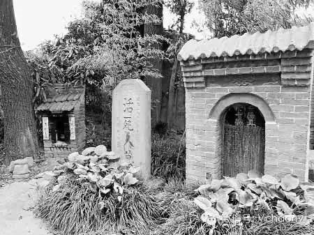 武侠世界真实版,武侠的世界真的存在吗辩论