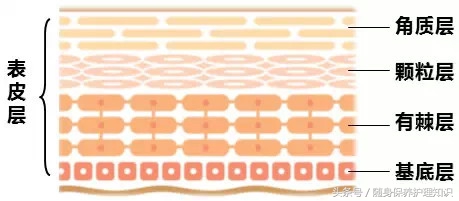 护肤品不吸收的表现是什么样的,护肤品在脸上吸收很快是好的吗