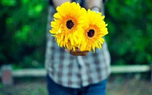 治愈心情烦躁的心灵鸡汤,治愈人心的鸡汤句子句句正能量