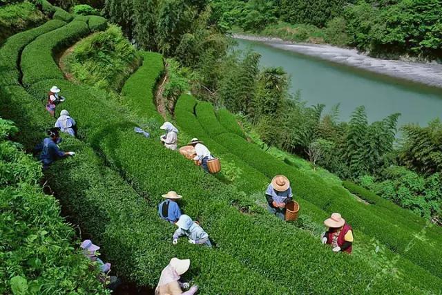 常州农家乐一日游最佳去处带娃,常州好玩的农家乐酒店