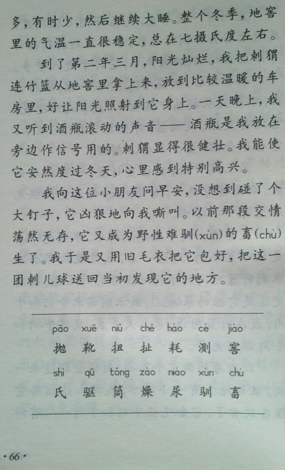 小学四年级，温暖你的童年记忆，老课本的温馨