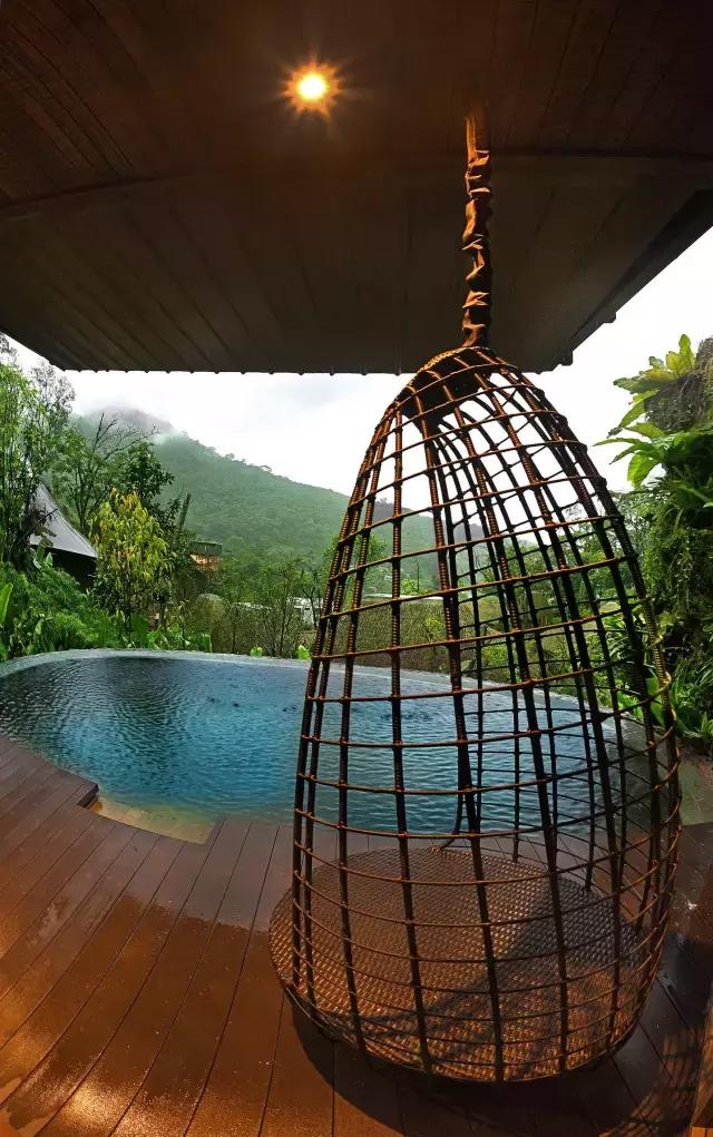 楦熷发搴﹀亣閰掑簵浣撻獙,闅愯棌鍦ㄥ師濮嬫．鏋楃殑娴峰崡楦熷发閰掑簵