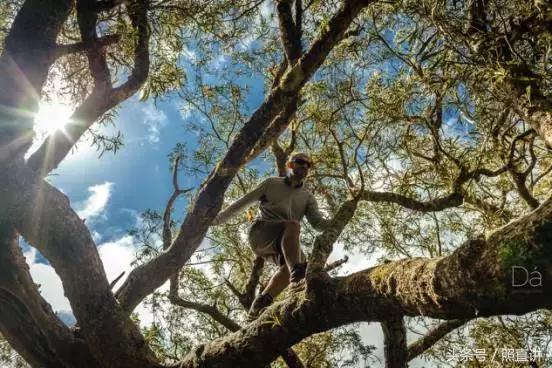 法国留尼汪岛离法国有多远,法国留尼汪岛视频