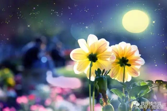 霍爱英:明月如初