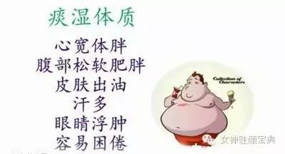 体质痰湿湿热,湿热体质和痰湿体质的区别