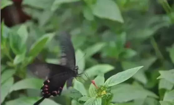 深圳最合适带女友拍照的地方,深圳哪里拍情侣写真照好看