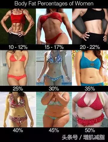 消除大肚腩水桶腰锻炼,怎样消除水桶腰和肚腩