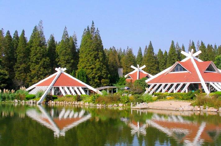 上海一日游必去的4个景点,上海必游的十大免费景点推荐一下