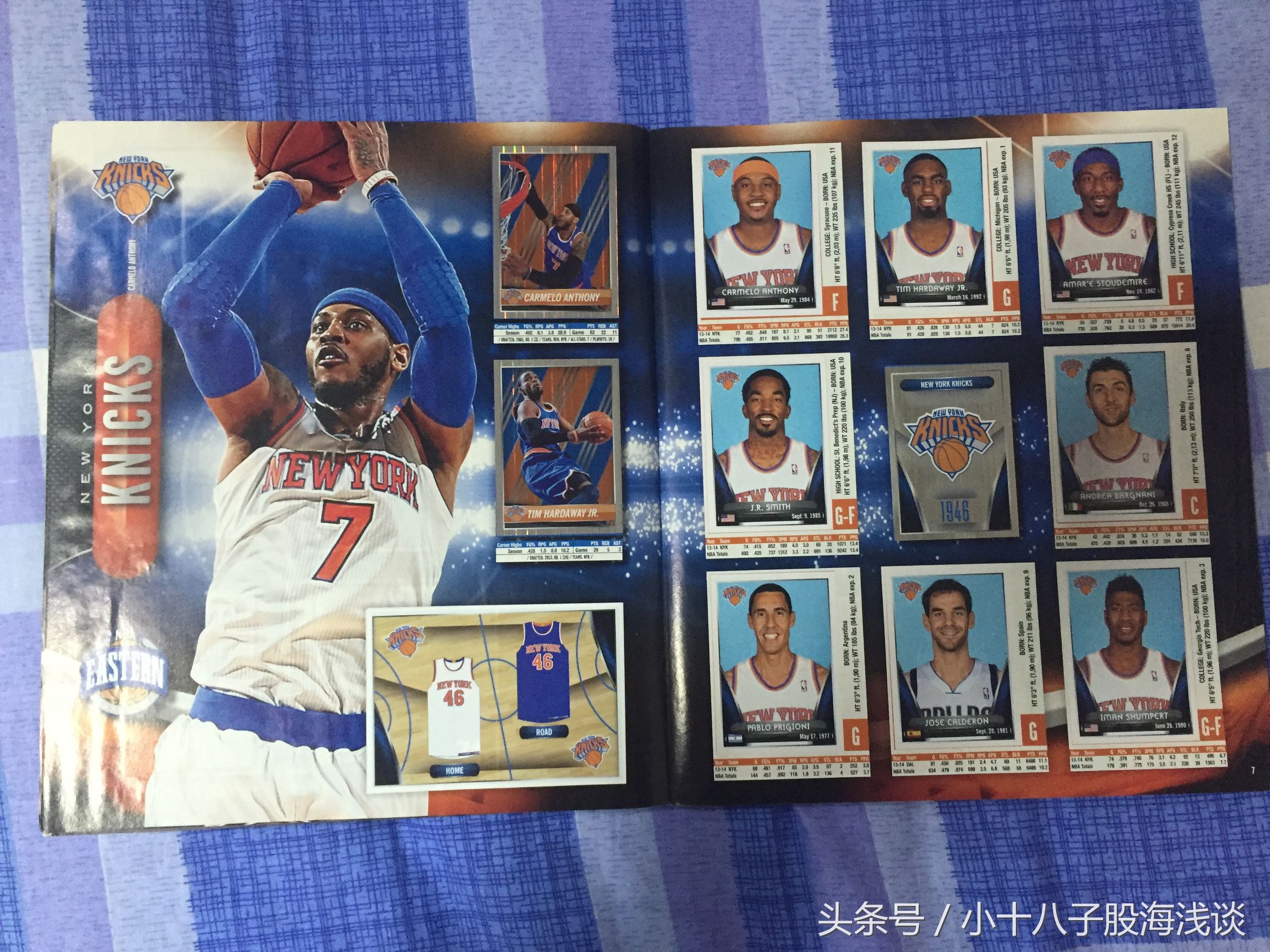 帕尼尼nba贴纸,nba帕尼尼贴纸卡