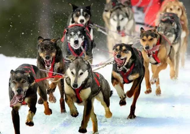 二月去旅游,二月份适合旅游的亚洲国家