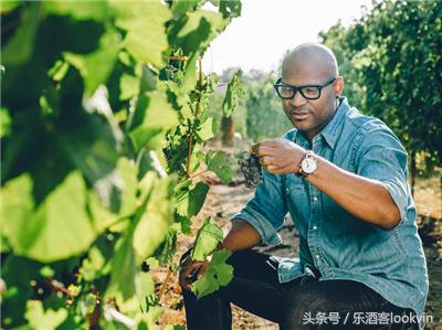 从事葡萄酒行业如何介绍自己,葡萄酒行业的工作