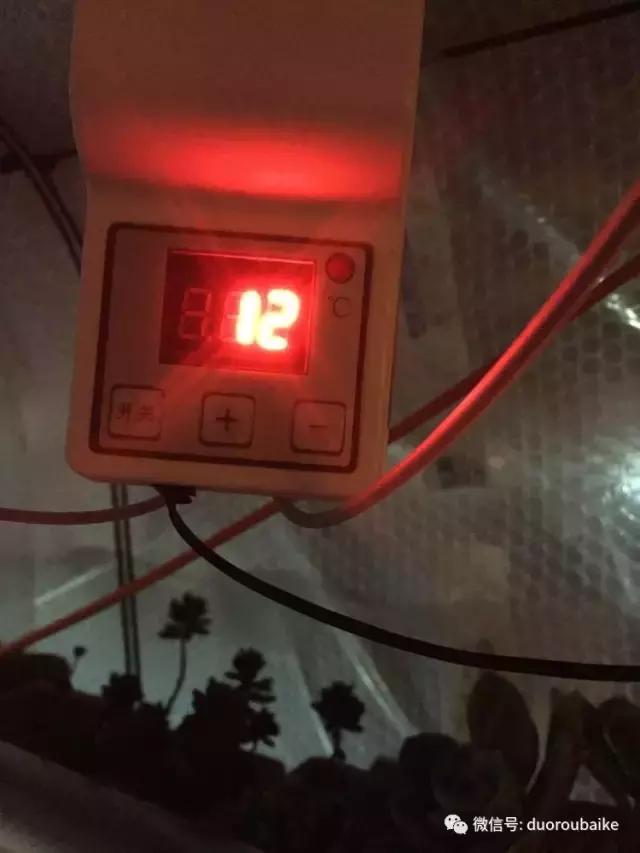 没有暖气的包邮区，肉肉照样美美的！