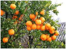 什么才叫成功的人生,什么才叫成功人士