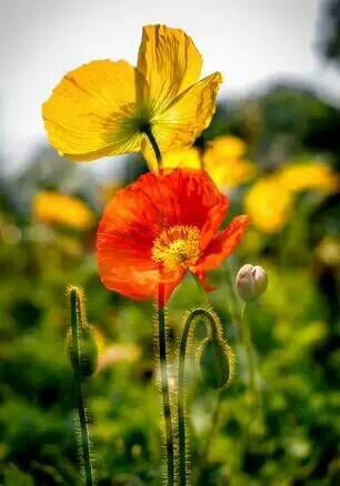 给摄影爱好者的十二条摄影经验,看完这组摄影作品你还淡定吗