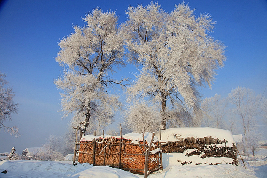 吉林雾凇岛的好看的雾凇倒影图片,吉林雾凇岛和雪谷雾凇岭