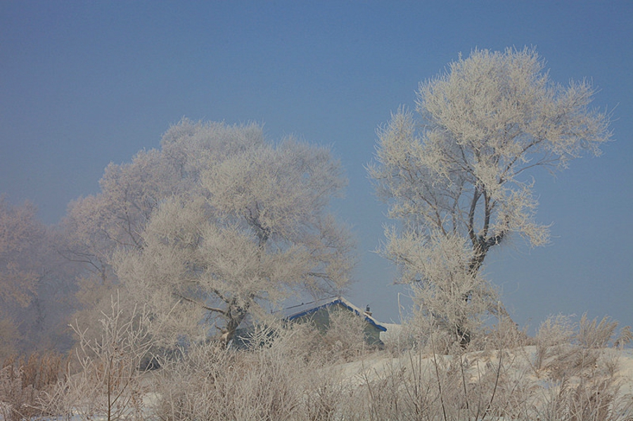 吉林雾凇岛的好看的雾凇倒影图片,吉林雾凇岛和雪谷雾凇岭