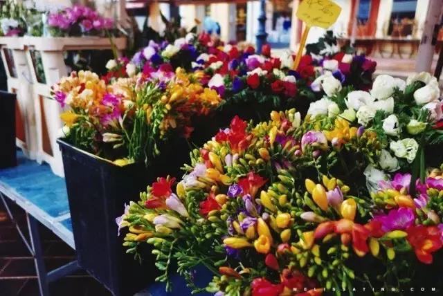 旅游西班牙法国意大利,去浪漫的法国和意大利