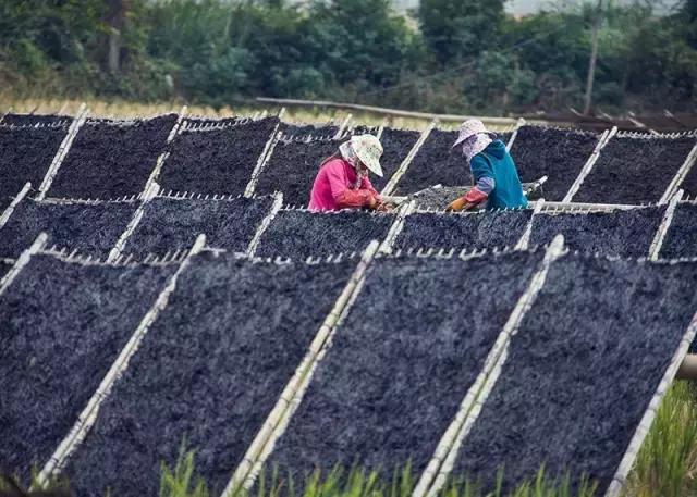 福建汀州土特产,福建零食特产有哪些