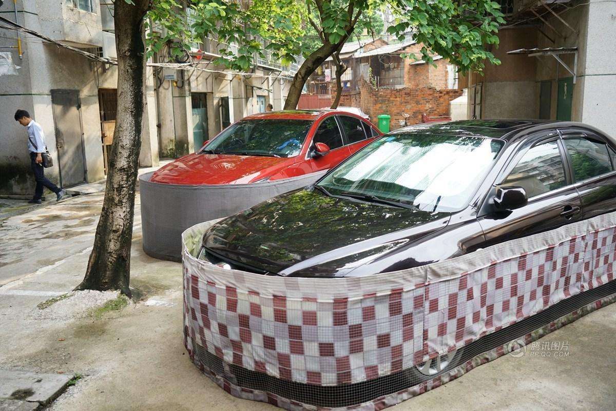 车内生存50天,车内大作战