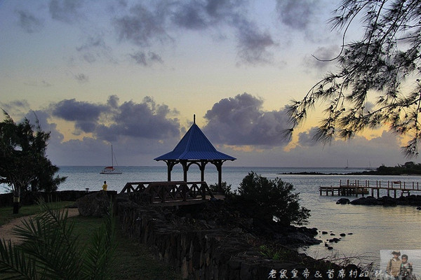 在外国街头演唱中国乐器,在外国街头演奏市集音乐