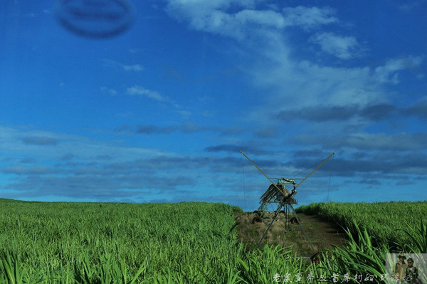 在外国街头演唱中国乐器,在外国街头演奏市集音乐