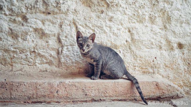 摩洛哥不被坑攻略,摩洛哥现状及问题