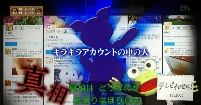 淘宝白富美,淘宝网红店揭秘