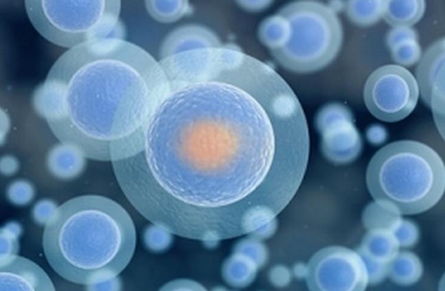 alk基因突变孟加拉克唑替尼 (肺癌alk突变克唑替尼有什么副作用)