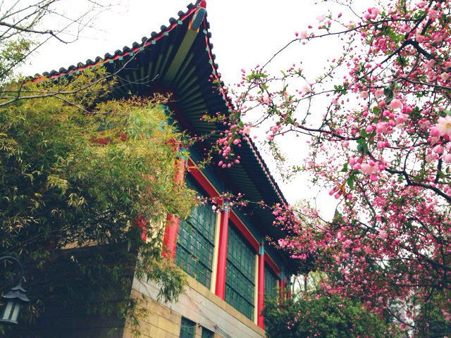 “人间天堂”的法学院系怎么样?来看江苏省榜单呀