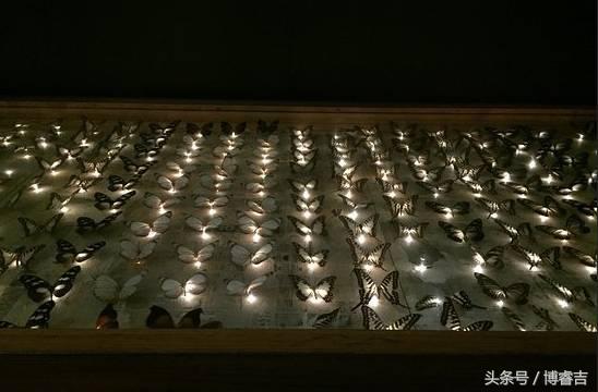 西班牙酒吧攻略 (西班牙瓦伦西亚华人酒吧)