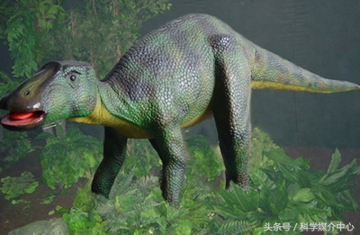 食草恐龙有什么种类,中国棘龙科恐龙种类