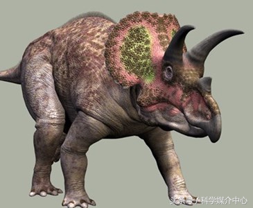 食草恐龙有什么种类,中国棘龙科恐龙种类