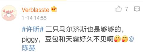 陈赫晒女儿给狗狗喂食,陈赫晒萌宠照片狗狗名字太霸气