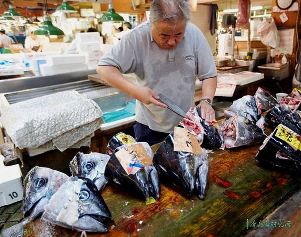 有什么好用的厨刀,中外厨刀大比拼