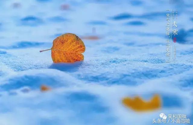 我可能喝了假酒什么梗,我可能喝了假酒图片