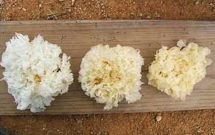 食品添加剂你了解多少?原图对比教你如何辨别有害食品!