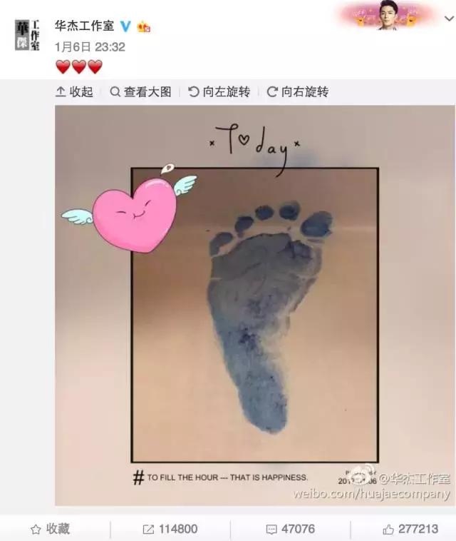 小海绵小星星,小星星小海豚林心如