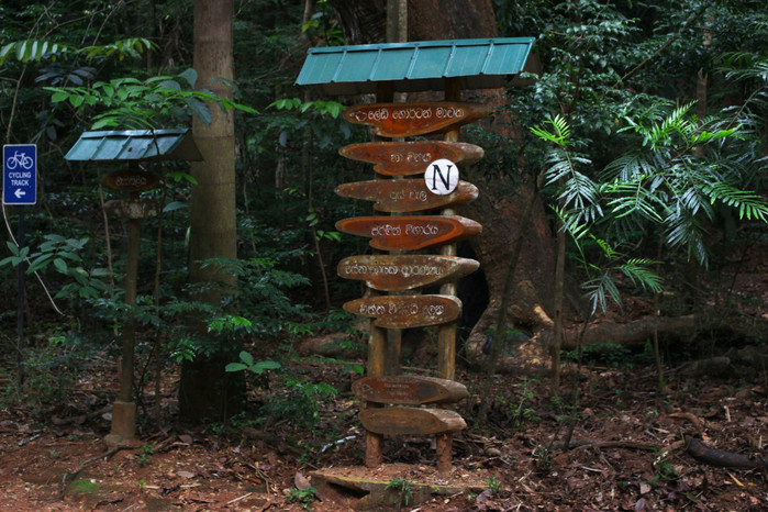 斯里兰卡旅游7天多少钱,去斯里兰卡最便宜方法