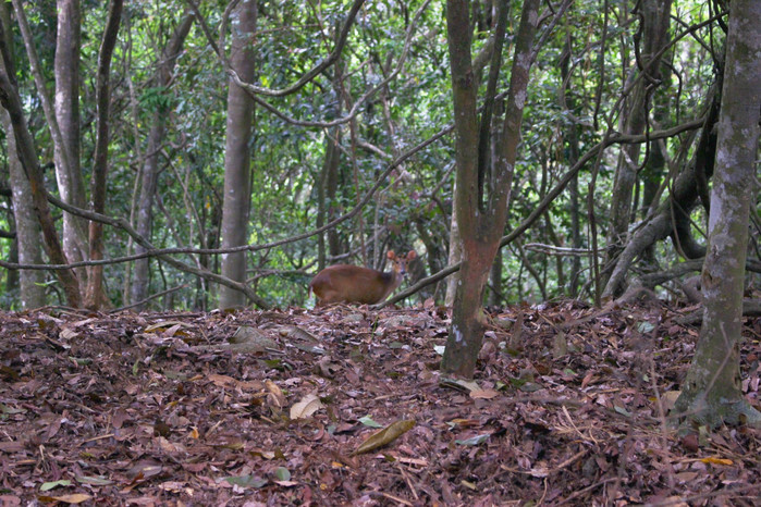斯里兰卡旅游7天多少钱,去斯里兰卡最便宜方法