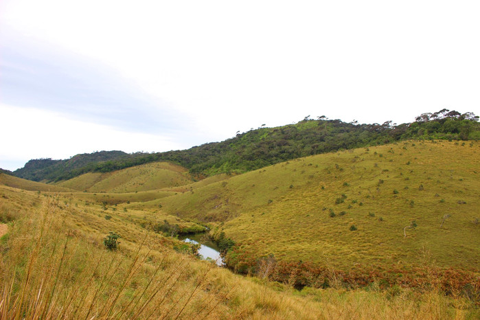 斯里兰卡旅游7天多少钱,去斯里兰卡最便宜方法