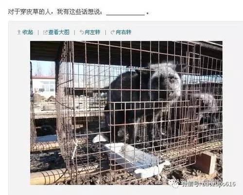 因为一件外套发生争执,杨幂又做了一件让网友生气的事