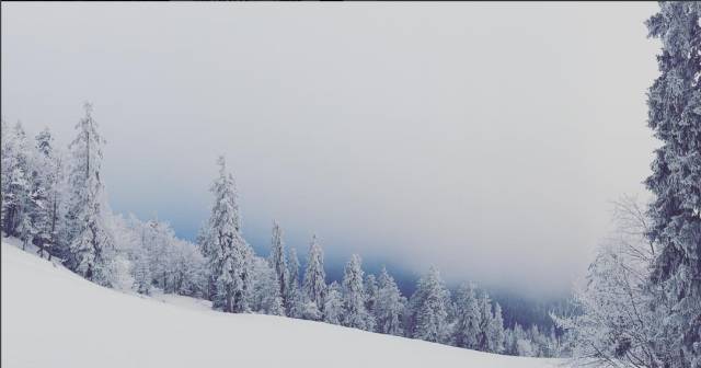 一个月白3度,真的太简单不过