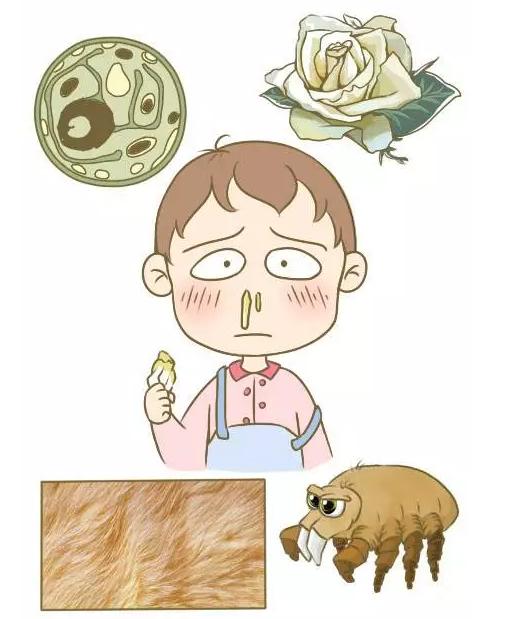 宝宝鼻塞并且大便有粘液,宝宝鼻塞大便硬