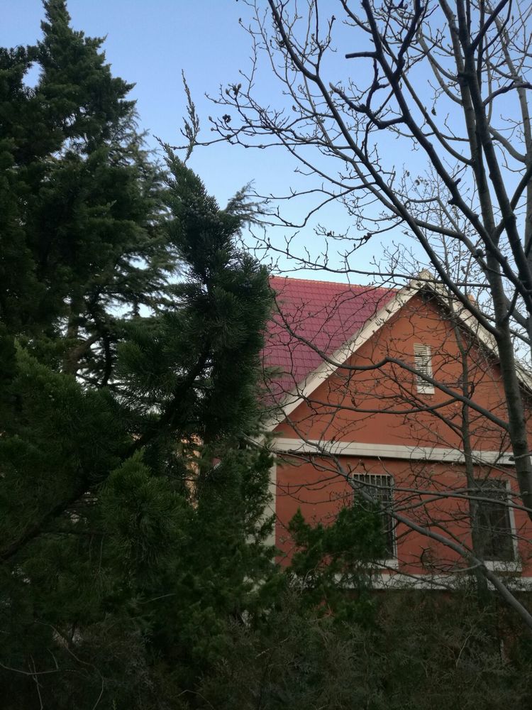 追寻历史遗迹感受文化魅力,八七疗养院历史遗迹