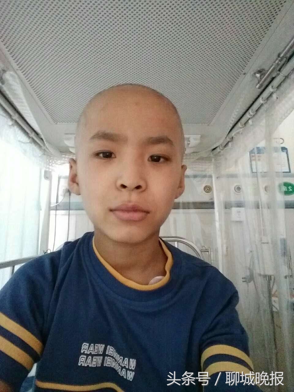 聊城白血病女孩,高三女生为弟弟写的求助信