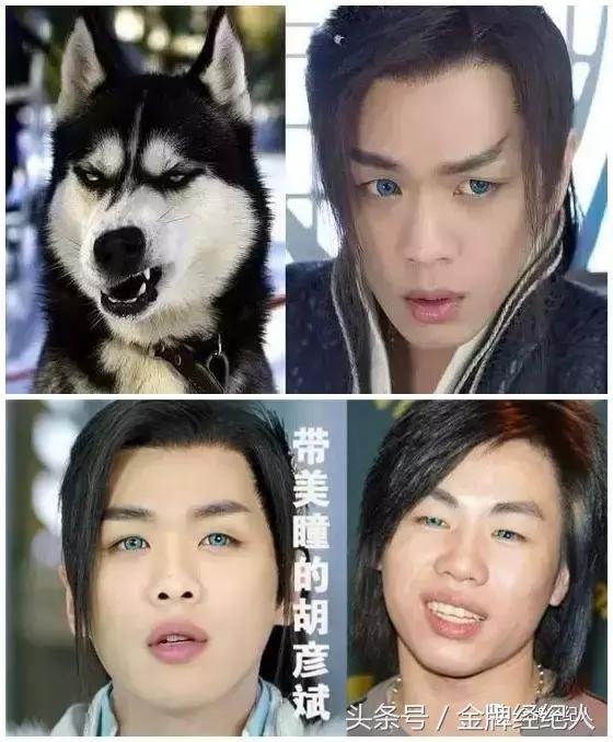 2021年值得追的电视剧有哪些,盘点2020年必追电视剧