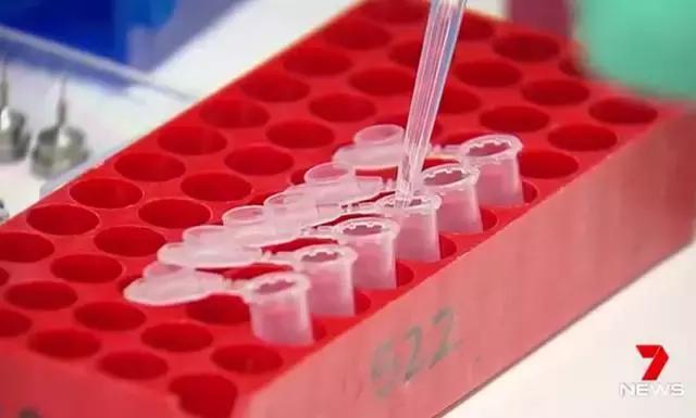 澳华裔科学家攻克白血病！新药获批即将上市或为医保廉价药！