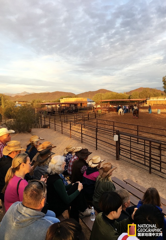 图森仙人掌,图森地理位置
