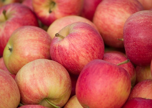 不手术不开刀，轻松去除肝结石。