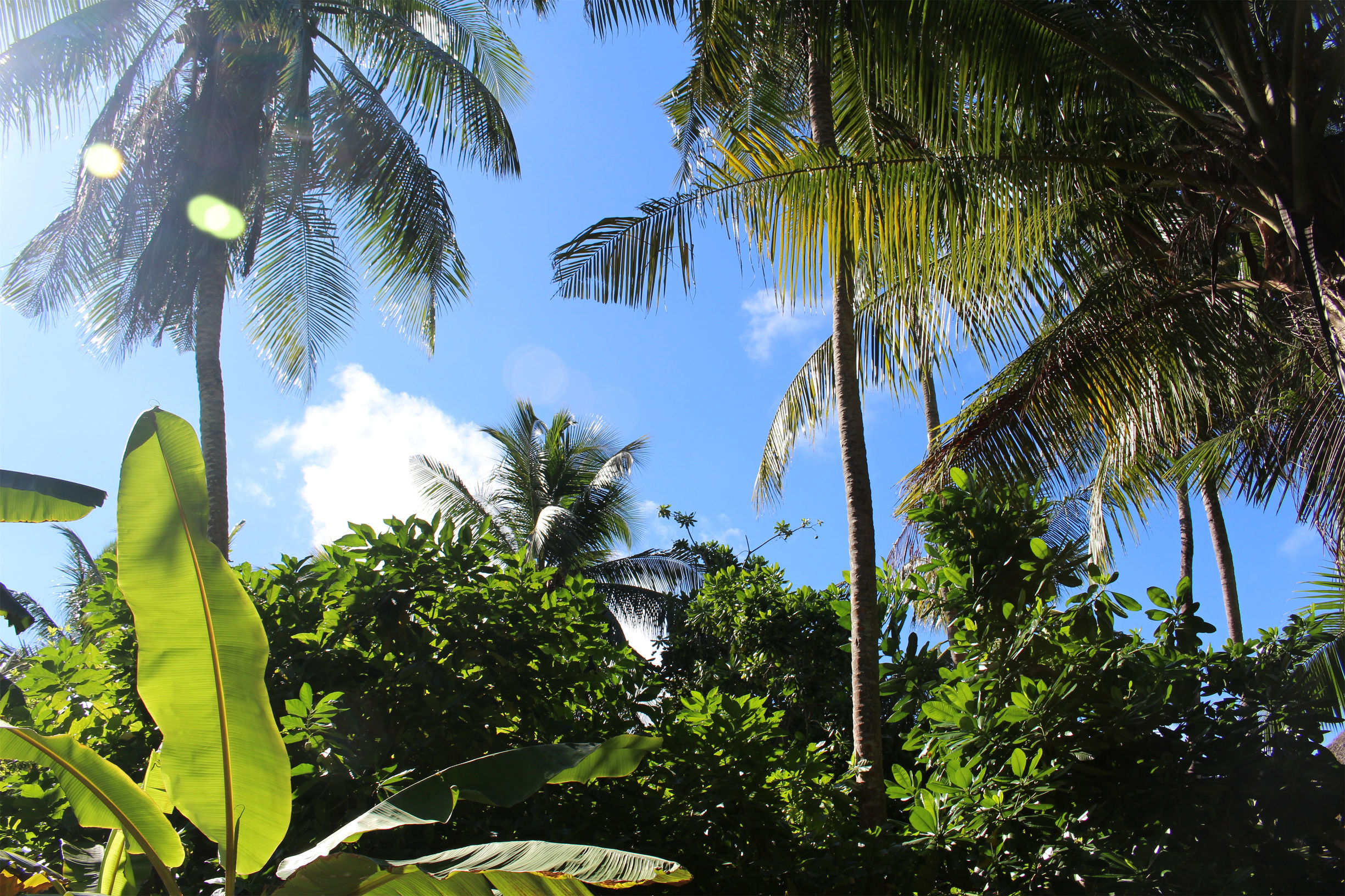 马尔代夫最美景色,最美马尔代夫风景
